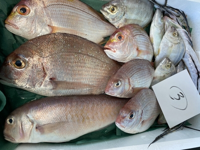 市場直送！【激安メガ盛り】鮮魚セット③