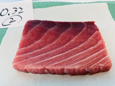 市場直送！【朝卸し･超極上】生ミナミマグロ②0.32 中トロ