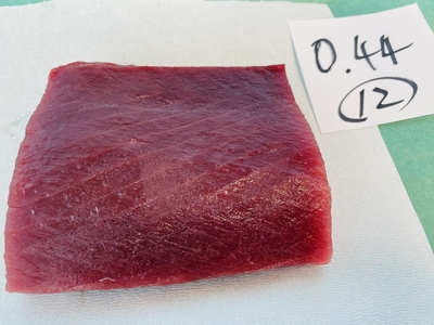 市場直送！【朝卸し･超極上】生ミナミマグロ⑫0.44kg 上赤身