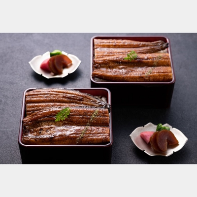 四万十うなぎ　蒲焼２尾セット