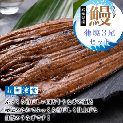 四万十うなぎ　蒲焼３尾セット