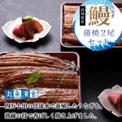 四万十うなぎ　蒲焼２尾セット