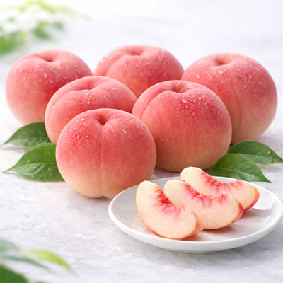 予約販売　山形県産 川中島白桃