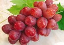 予約販売　長野県産　クイーンルージュ　1房（600g～）