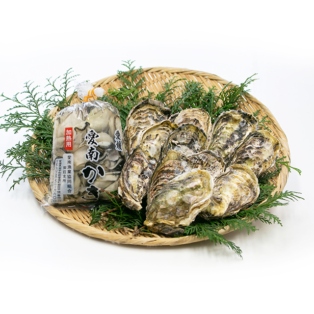 愛南かきBセット（殻付1.5kg・身がき500g） | 愛南漁協公式ショップ