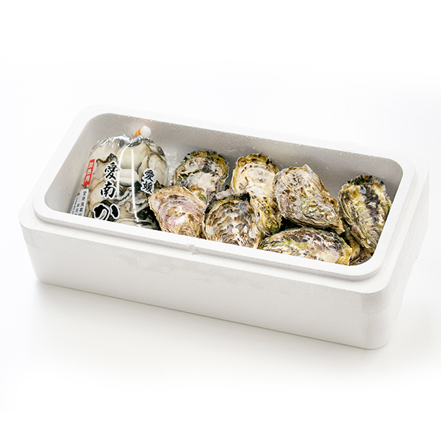 かきぴーページ　アルビオン4点セット 愛南かきBセット（殻付1.5kg・身がき500g） | 愛南漁協公式ショップ