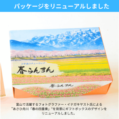 春らんまん（チューリップ球根 6品種 各5球 計30球入）