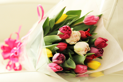 チューリップ花束12本入（贈答用）