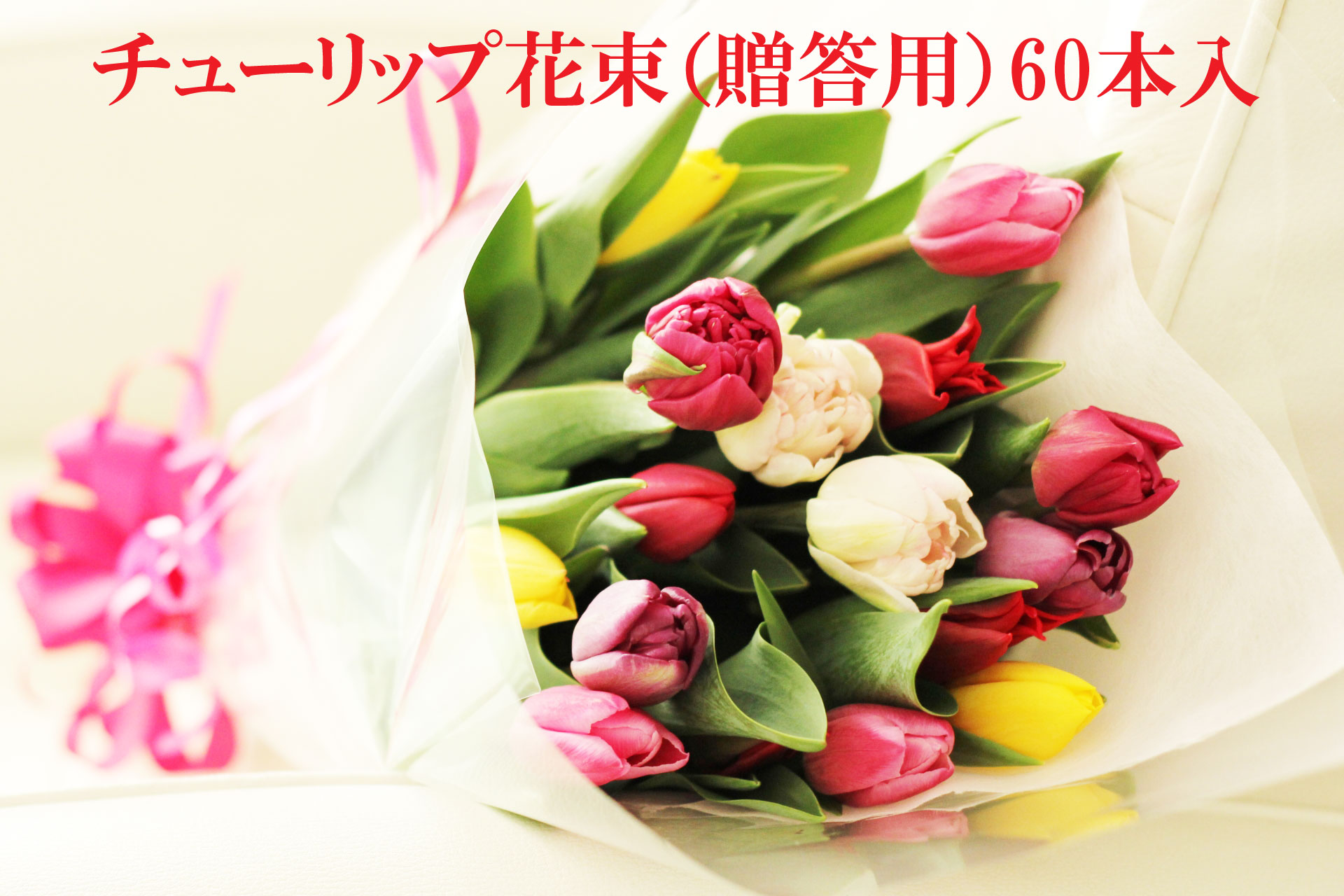 チューリップ花束60本入（簡易包装） | 道の駅 砺波オンライン