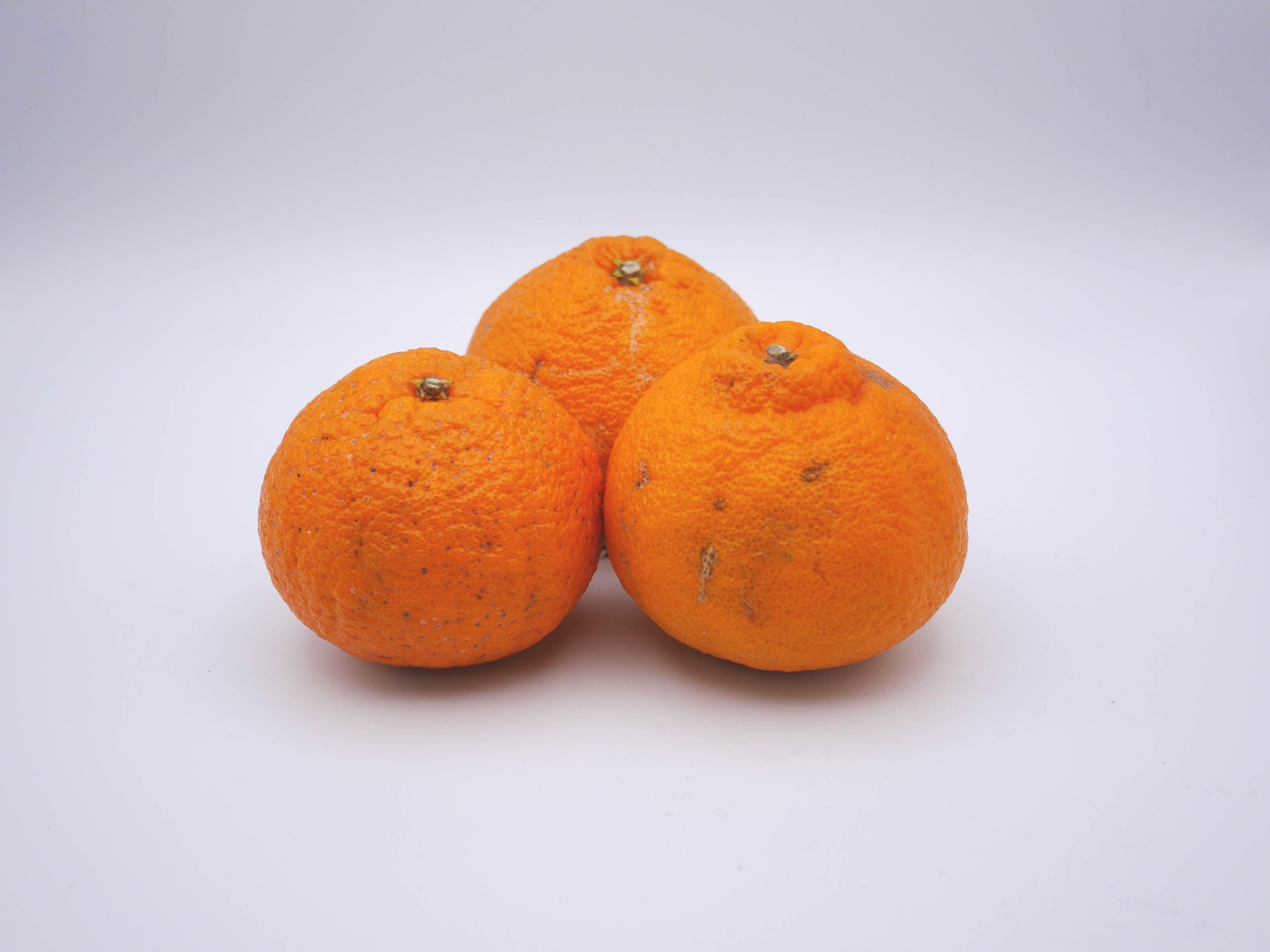 デコポン B品 約10キロ | 株式会社吉田農園