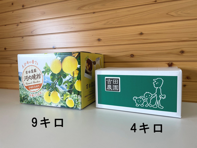 ユッキー　河内晩柑 河内晩柑 | ビオ・マルシェの商品 | 有機野菜 ビオ・マルシェの宅配