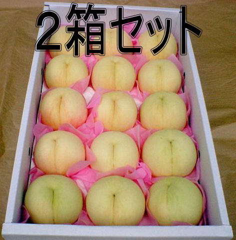 マロン⭐️山梨県産桃日川白鳳⭐️はねだし 家庭用⭐️2箱セット 箱込み約10キロ 9ab74c68c5f3a99a735f7c255132c9