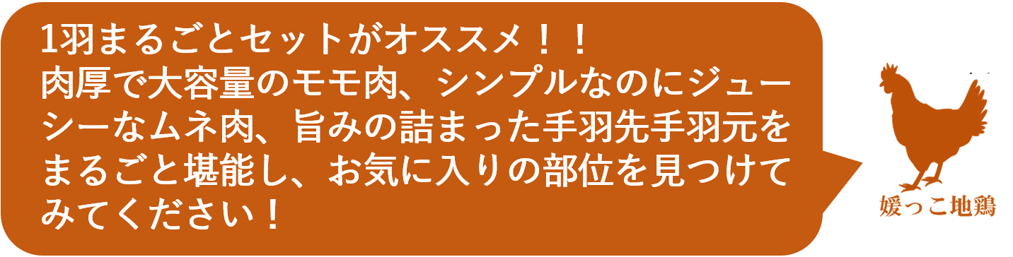 愛媛県の最高級地鶏 媛っこ地鶏 の公式通販サイト