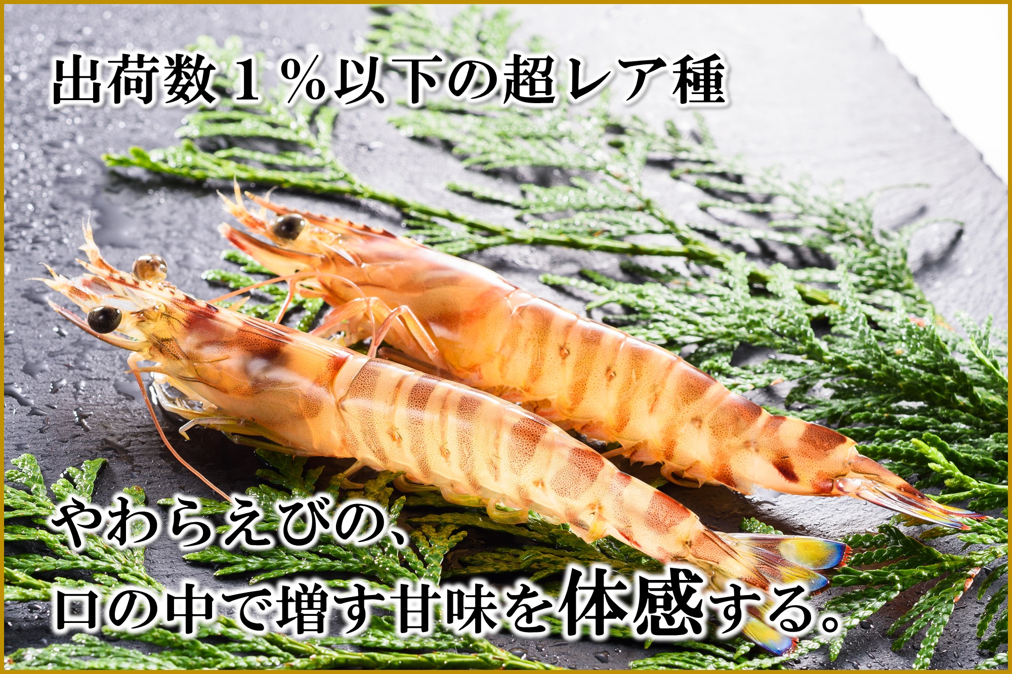 沖縄久米島特産 南西興産の車えび【生産者から直送】