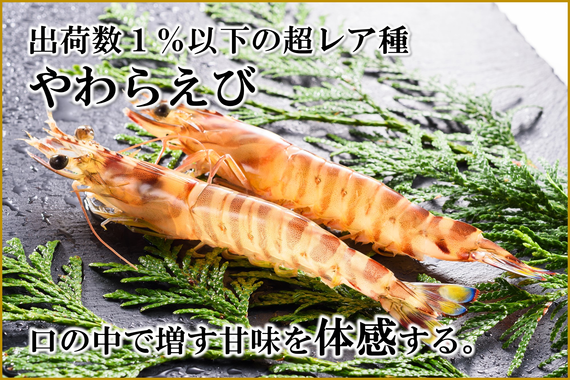 やわらえび｜南西興産 | 久米島 南西興産の車えび