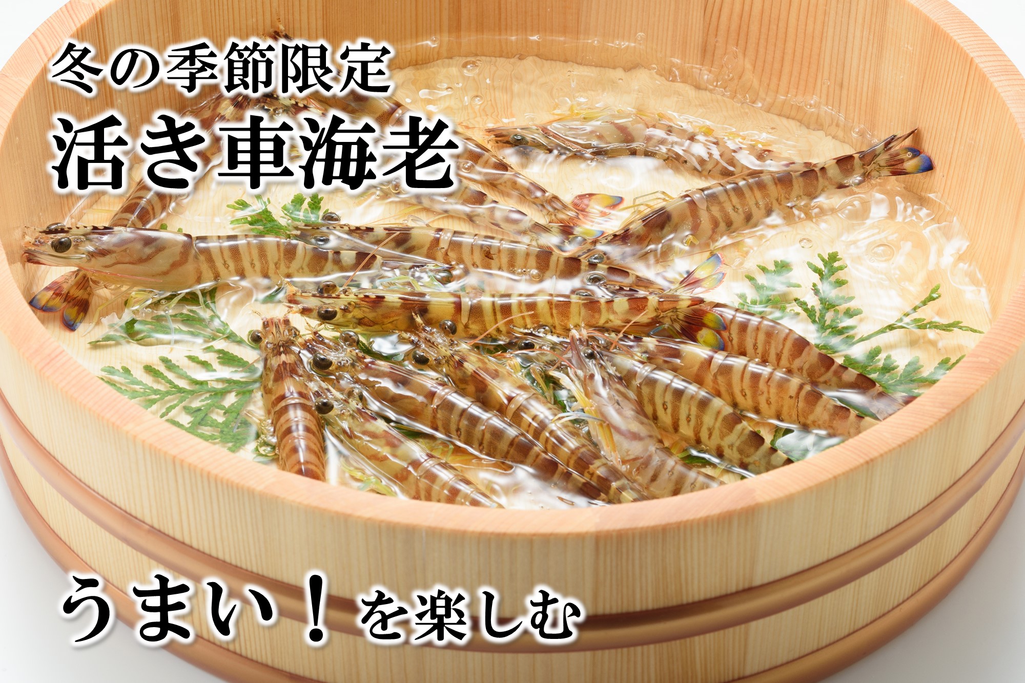 沖縄久米島特産 南西興産の車えび【生産者から直送】