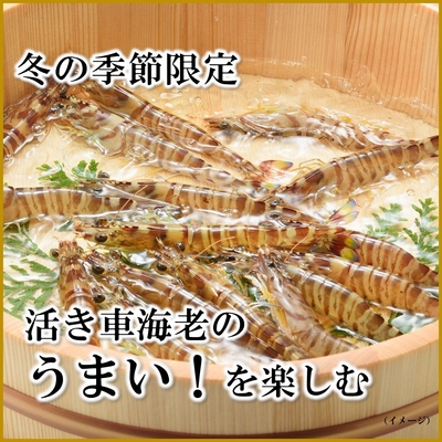 【未使用】A-07 活車えび　700g（24～28尾）【送料無料】