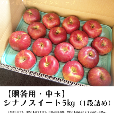 【贈答用・中玉】シナノスイート5キロ箱(1段詰め)