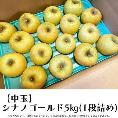 【贈答用・中玉】シナノゴールド5キロ箱(1段詰め)