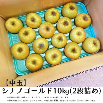 【贈答用・中玉】シナノゴールド10キロ箱(2段詰め)