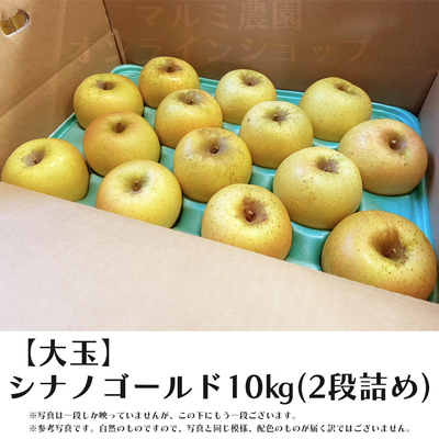 【贈答用・大玉】シナノゴールド10キロ箱(2段詰め)