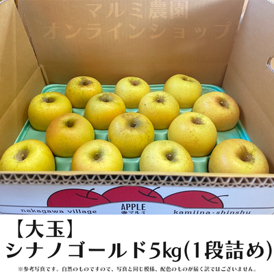 【贈答用・大玉】シナノゴールド5キロ箱(1段詰め)