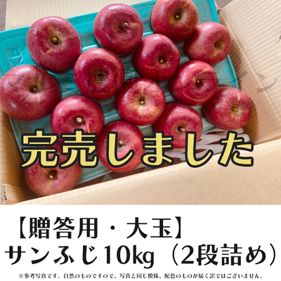 【贈答用・大玉】サンふじ10キロ箱(2段詰め)