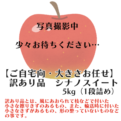 【家庭用・サイズおまかせ】シナノスイート5キロ箱(1段詰め)