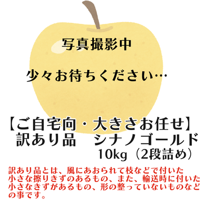 【家庭用・サイズおまかせ】シナノゴールド10キロ箱(2段詰め)