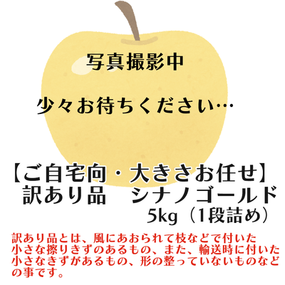 【家庭用・サイズおまかせ】　シナノゴールド5キロ箱(1段詰め)