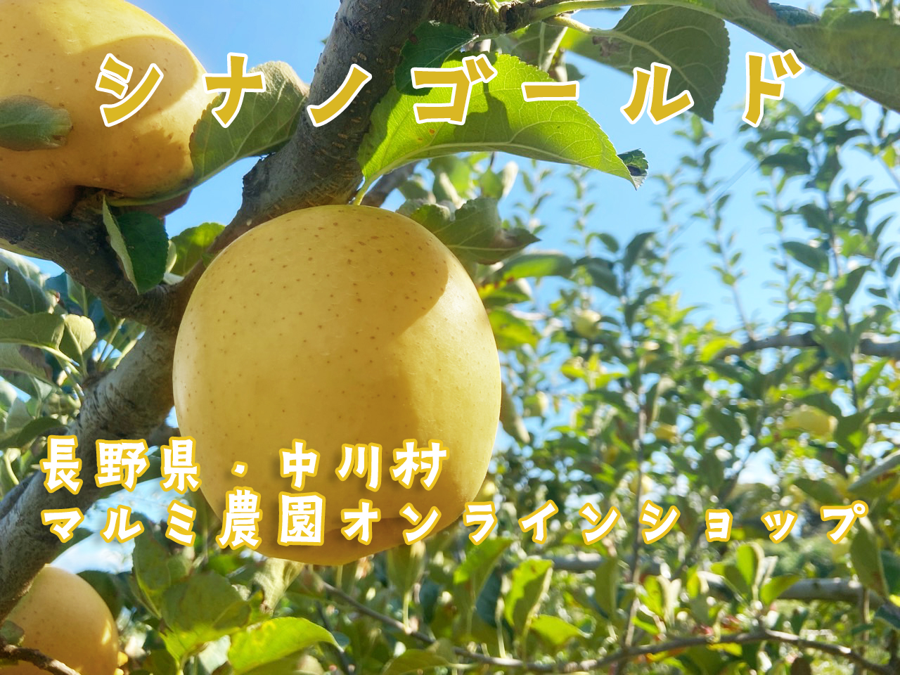 マルミ農園オンラインショップ | マルミ農園オンライン