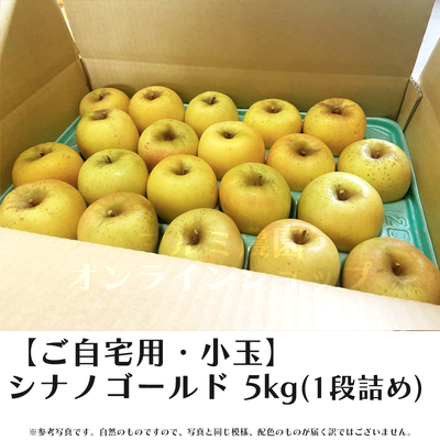 【家庭用・小玉きず無】　シナノゴールド5キロ箱(1段詰め)