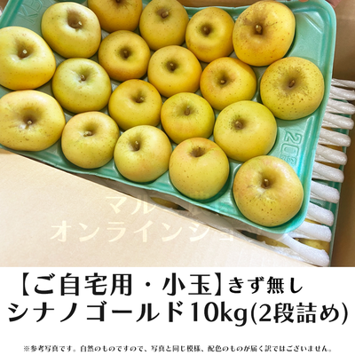 【家庭用・小玉きず無】シナノゴールド10キロ箱(2段詰め)