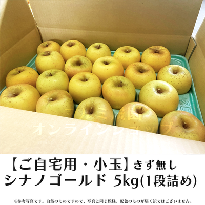 【家庭用・小玉きず無】　シナノゴールド5キロ箱(1段詰め)