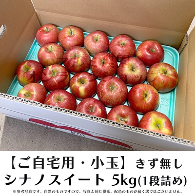 【家庭用・小玉きず無】シナノスイート5キロ箱(1段詰め)