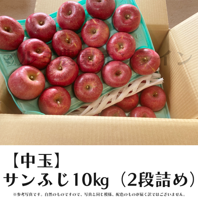 【贈答用・中玉】サンふじ10キロ箱(2段詰め)
