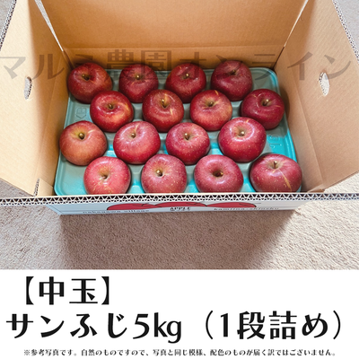 【贈答用・中玉】サンふじ5キロ箱(1段詰め)