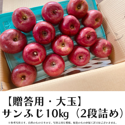 【贈答用・大玉】サンふじ10キロ箱(2段詰め)