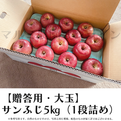 【贈答用・大玉】サンふじ5キロ箱(1段詰め)