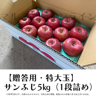 【贈答用・特大玉】サンふじ5キロ箱(1段詰め)