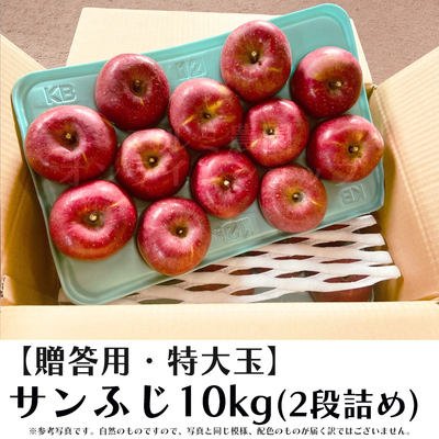 【贈答用・特大玉】サンふじ10キロ箱(2段詰め)