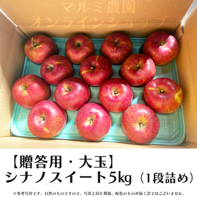 【贈答用・大玉】シナノスイート5キロ箱(1段詰め)