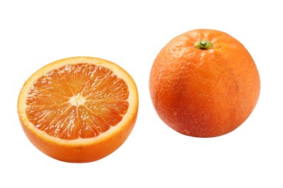 　完売　タロッコ　約5kg