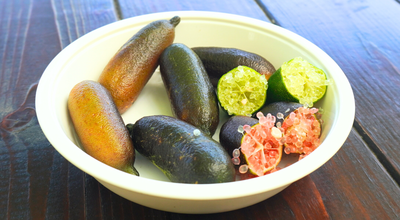 フィンガーライム | 石川efruitショップ