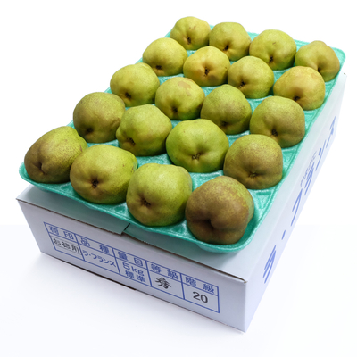 L_5kg・お徳用20玉