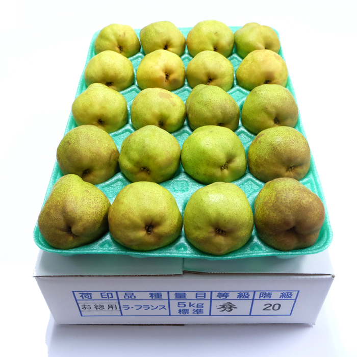 山形県産摘果ラフランス20キロかたい硬い 山形県産加工用かたいラフランス19.5〜20キロかたい硬い摘果ラ