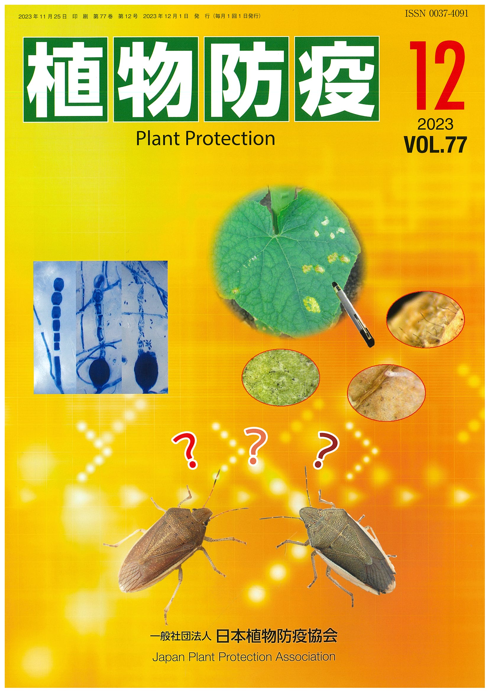 Anapat#9 株分品 ビット交換式ソケットアダプター 12.7mm（1/2”） | ANEXブランド