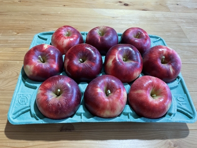 完熟紅玉 3キロ箱