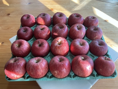 サンふじ　小玉箱５キロ