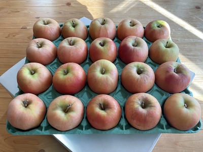 ムーンルージュ　５キロ箱